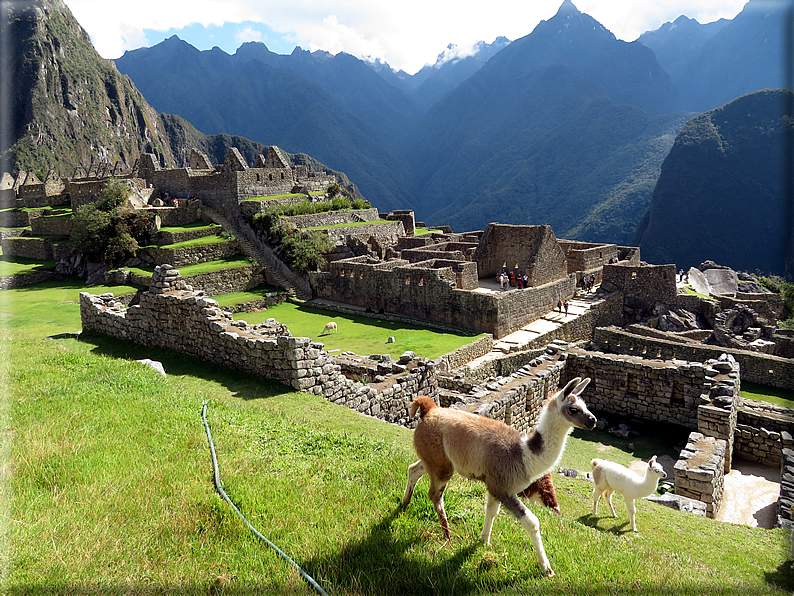 foto Machu Picchu